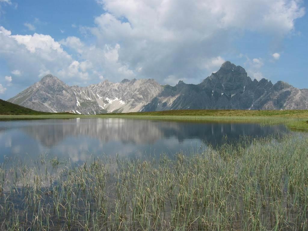 Rudigier Margret Und Franz Διαμέρισμα Sankt Gallenkirch Εξωτερικό φωτογραφία
