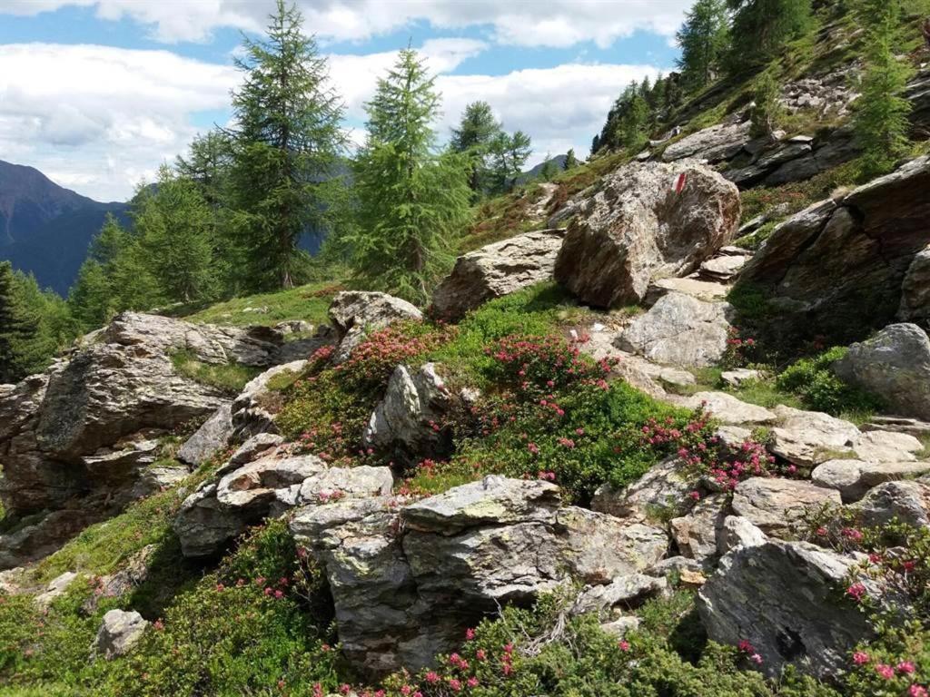 Rudigier Margret Und Franz Διαμέρισμα Sankt Gallenkirch Εξωτερικό φωτογραφία